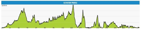 Lon Las Ultra elevation profile
